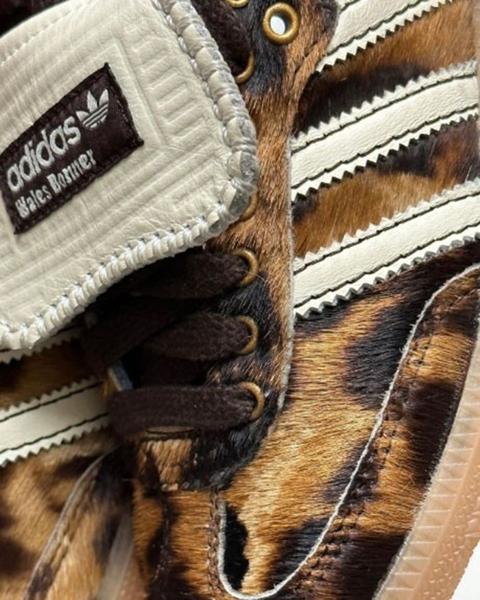 5a0790845db124bda96311097d93991b_1742201234_1354.jpg 5a0790845db124bda96311097d93991b_1742201234_1354.jpg