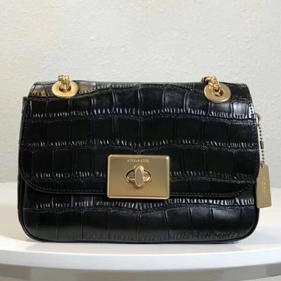 Coach Leather Chain Shoulder Bag,24cm - 코치 레더 체인 숄더백 COAB0015,24cm,블랙