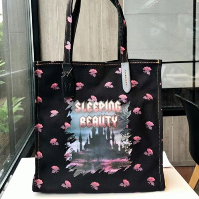 Coach Keith Haring Canvas Tote Shoulder Shopper Bag,35cm - 코치 키스 해링 캔버스 토트 숄더 쇼퍼백 COAB0106,35cm,블랙