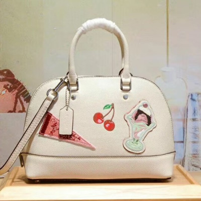 Coach Leather Mini Tote Shoulder Bag,26cm - 코치 레더 미니 토트 숄더백 25911,COAB0188,26cm,화이트