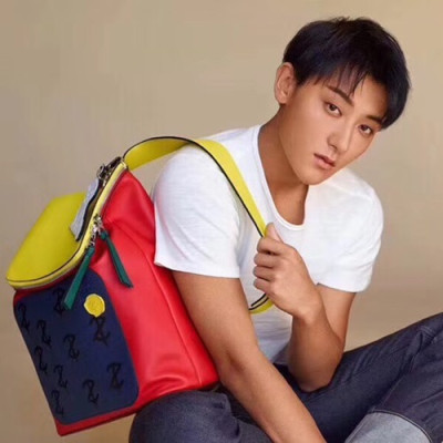 Loewe 2019 Z.Tao Goya Back Pack, 34CM - 로에베 2019 Z.TAO 남여공용 고야 백팩 ,LOEB0079, 34CM, 네이비+레드(옐로우) - 타오