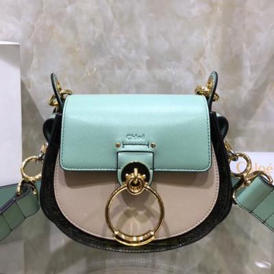 Chole 2019 Tess Leather Shoulder Bag, 20cm -  끌로에 2019 테스 레더 숄더백,CLB0142,20cm,화이트+민트