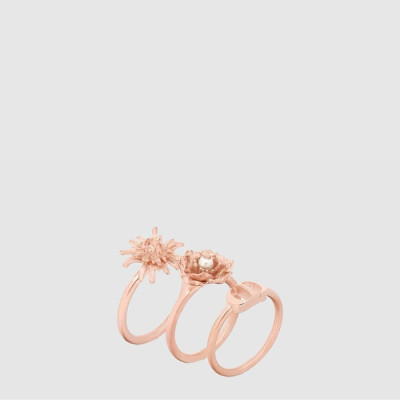 디올 여성 로즈 골드 반지 세트 - Dior Womens Rose Gold Ring - acc561x