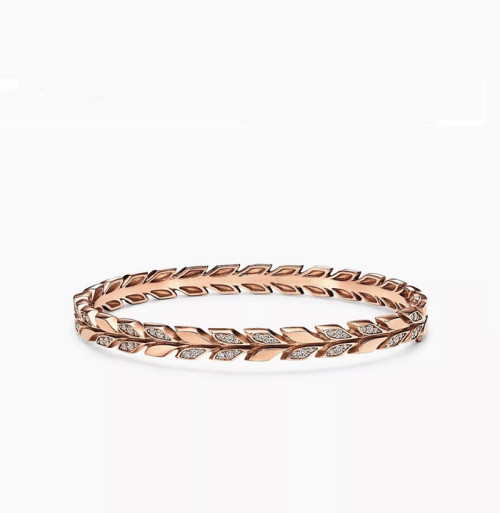 티파니 여성 골드 팔찌 - Tiffany Womens Gold Bangle- acc978x