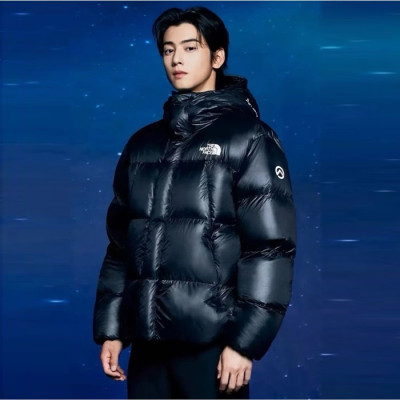 노스페이스 남성 다운 패딩 - The North Face Mens Down Padding - noc3961x