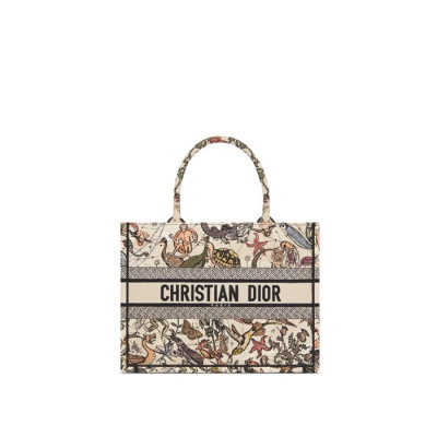 디올 여성 크리스찬 북토트 - Dior Womens Book Tote - dib4870x