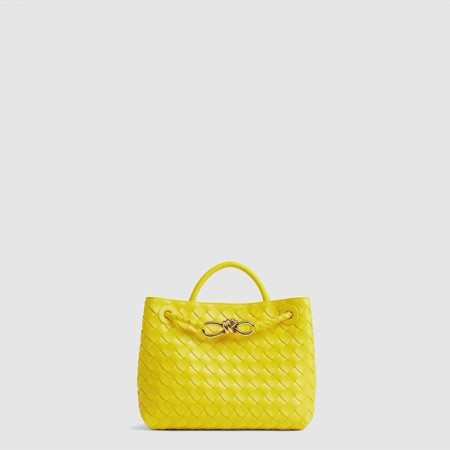 보테가 베네타 여성 안디아모 토트백 스몰 - Bottega veneta Womens Andiamo Tote Bag Small - bvb9528x