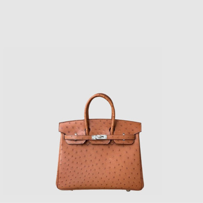 에르메스 여성 25 버킨백 - Hermes Womens Birkin Bag - heb11481x