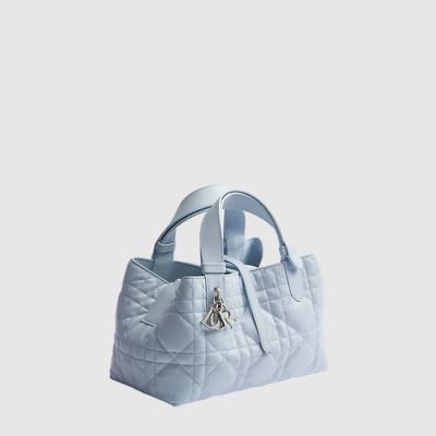 디올 여성 뚜주흐 스몰 백 - Dior Womens Toujours Small Bag - dib15967x