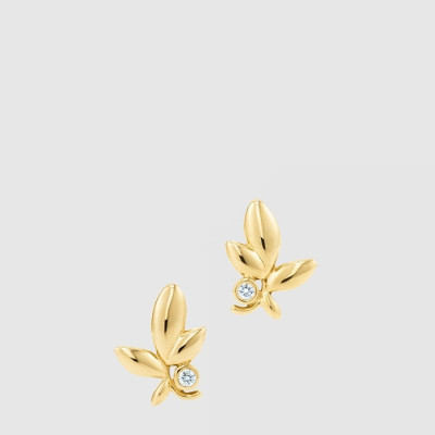 티파니 여성 올리브 리프 이어링 - Tiffany Womens Olive Leaf Earring - acc9299x