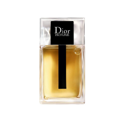 디올 옴므 오 드 뚜왈렛 100ml - Dior Homme Eau de Toilette - dip13x