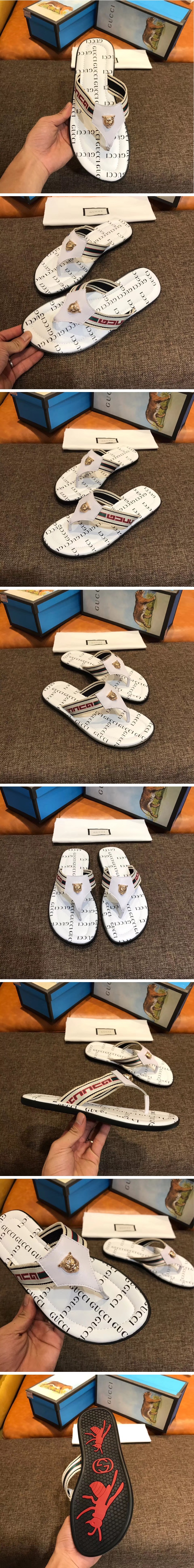 17246_15465054570451.jpg